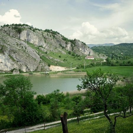 Detached House Milivoje Hotel Poscenje Luaran gambar