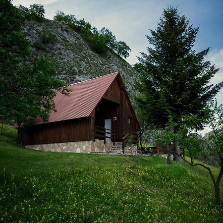 Detached House Milivoje Hotel Poscenje Luaran gambar