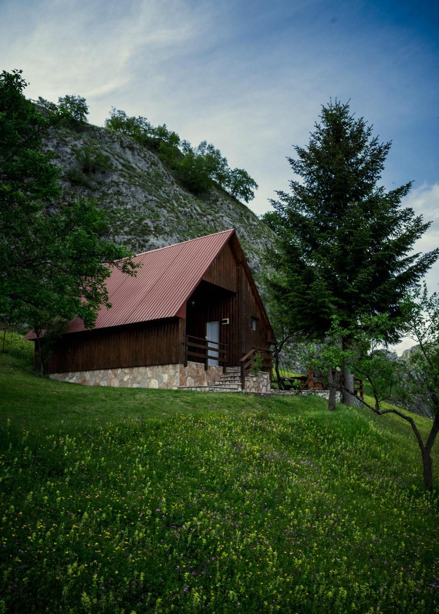 Detached House Milivoje Hotel Poscenje Luaran gambar