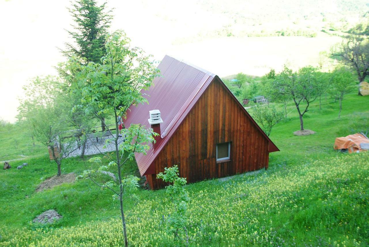 Detached House Milivoje Hotel Poscenje Luaran gambar